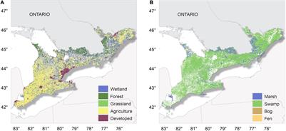 Can Restoration of Freshwater Mineral Soil Wetlands Deliver Nature-Based Climate Solutions to Agricultural Landscapes?